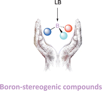 Graphical abstract: Stereoselective formation of boron-stereogenic organoboron derivatives