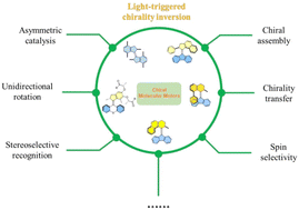 Graphical abstract: Enlightening dynamic functions in molecular systems by intrinsically chiral light-driven molecular motors