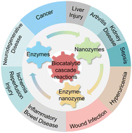 Graphical abstract: Biocatalytic cascade reactions for management of diseases
