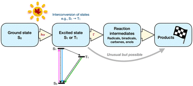 Graphical abstract: A beginners guide to understanding the mechanisms of photochemical reactions: things you should know if light is one of your reagents