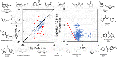 Graphical abstract: A closer look at amyloid ligands, and what they tell us about protein aggregates