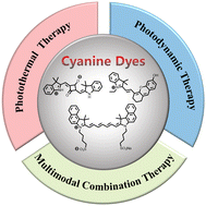 Graphical abstract: Design strategies and applications of cyanine dyes in phototherapy