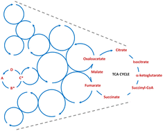 Graphical abstract: The protometabolic nature of prebiotic chemistry