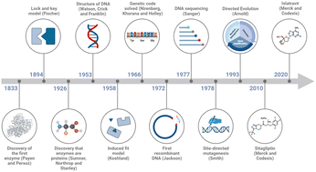 Graphical abstract: Biocatalysis: landmark discoveries and applications in chemical synthesis