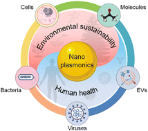 Graphical abstract: Nanoplasmonic biosensors for environmental sustainability and human health