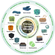Graphical abstract: Renewable biomass-based aerogels: from structural design to functional regulation