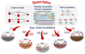 Graphical abstract: Advancing electrocatalytic reactions through mapping key intermediates to active sites via descriptors