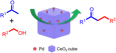 Graphical abstract: Palladium single-atom catalyst supported on ceria for α-alkylation of ketones with primary alcohols