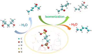 Graphical abstract: Mechanistic insights into the conversion of polyalcohols over Brønsted acid sites