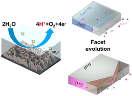 Graphical abstract: Crystal facet evolution of spinel Co3O4 nanosheets in acidic oxygen evolution catalysis