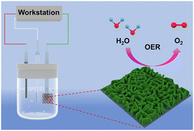 Graphical abstract: Bimetal synergistically regulates Ni and P oxidation states for efficient oxygen evolution reaction