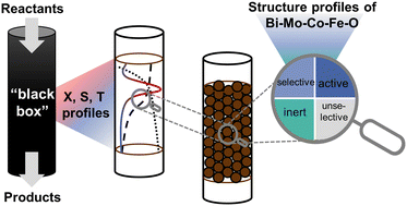 Graphical abstract: Exploring structure, temperature and activity correlations in the selective oxidation of lower olefins over Bi–Mo–Co–Fe–O catalysts by spatial reactor profile measurements