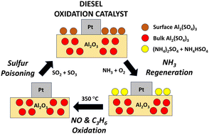 Graphical abstract: Sulfur poisoning and NH3 regeneration of Pt/Al2O3: oxidations of SO2, NH3, NO and C3H6 as probe reactions