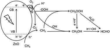 Graphical abstract: Efficient photocatalytic oxidation of CH4 over Ag-modified ZnO nanorods