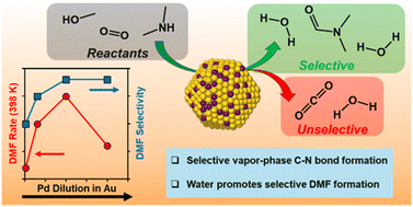 Graphical abstract: Selective vapor-phase formation of dimethylformamide via oxidative coupling of methanol and dimethylamine over bimetallic catalysts