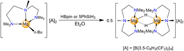 Graphical abstract: Reactivity of a quasi-four-coordinate butylmagnesium cation