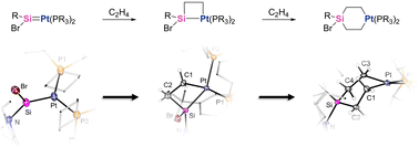 Graphical abstract: Reactivity of Pt(0) bromosilylene complexes towards ethylene