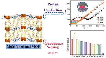 Graphical abstract: A multifunctional cobalt–organic framework for proton conduction and selective sensing of Fe3+ ions