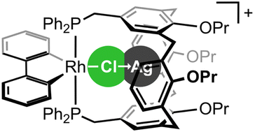 Graphical abstract: Template synthesis of an intermediate in silver salt metathesis using a calix[4]arene-based diphosphine ligand