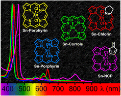 Graphical abstract: Sn(iv)-porphyrinoids for photodynamic anticancer and antimicrobial chemotherapy