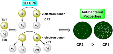 Graphical abstract: Silver-based coordination polymers assembled by dithioether ligands: potential antibacterial materials despite received ideas