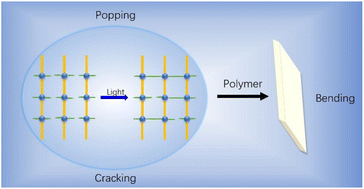 Graphical abstract: Photomechanical effects based on a one-dimensional Zn coordination polymer crystal driven by [4 + 4] cycloaddition