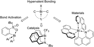 Graphical abstract: Hypervalent organobismuth complexes: pathways toward improved reactivity, catalysis, and applications