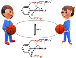 Graphical abstract: H-atom site exchange in an iridium trans-dihydrogen/hydride complex, trans-[Ir(H)(η2-H2)(iPr)4(POCOP)(DMAP)]+