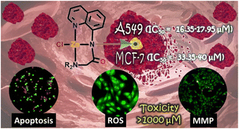 Graphical abstract: Are Zn(ii) pincer complexes efficient apoptosis inducers? a deep insight into their activity against A549 lung cancer cells