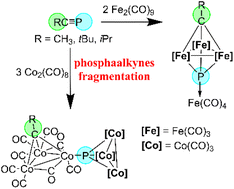 Graphical abstract: Unusual cleavage of phosphaalkynes triple bond in the coordination sphere of transition metals