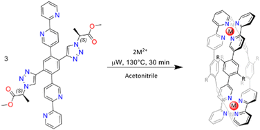 Graphical abstract: Remote stereocentres do not disrupt the stereochemical coupling in homochiral [M2L3] helicates and [M4L6] tetrahedra