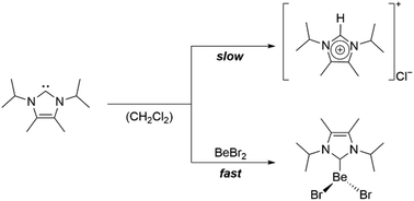 Graphical abstract: Reactivity of free N-heterocyclic carbenes in dichloromethane