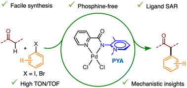 Graphical abstract: Electronically flexible PYA ligands for efficient palladium-catalyzed α-arylation of ketones