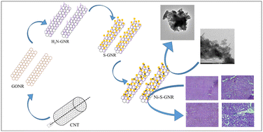 Graphical abstract: Biocompatibility assessment of chemically modified GONRs with hemoglobin and histopathological studies for its toxicity evaluation