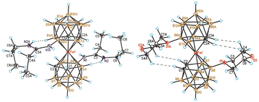 Graphical abstract: Charge-compensated nido-carborane derivatives in the synthesis of iron(ii) bis(dicarbollide) complexes
