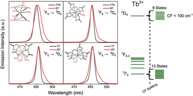 Graphical abstract: Mapping the distribution of electronic states within the 5D4 and 7F6 levels of Tb3+ complexes with optical spectroscopy