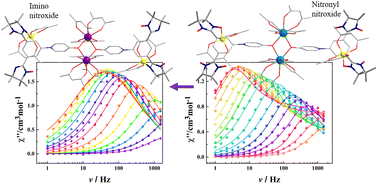 Graphical abstract: Tuning spin dynamics of binuclear Dy complexes using different nitroxide biradical derivatives