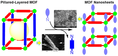 Graphical abstract: Structural transformation from a 3D hydrophilic pillared-layered framework to 2D hydrophobic MOF nanosheets through ligand replacement exfoliation
