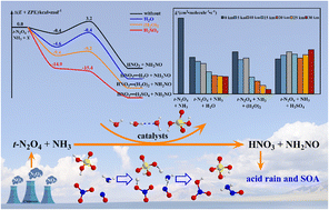 Graphical abstract: A possible atmospheric source of HNO3: the ammonolysis reaction of t-N2O4 in the presence of water monomer, water dimer, and sulfuric acid
