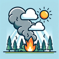 Graphical abstract: Multi-day photochemical evolution of organic aerosol from biomass burning emissions