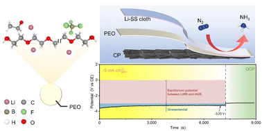 Graphical abstract: Membrane electrode assembly design for lithium-mediated electrochemical nitrogen reduction