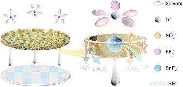 Graphical abstract: A separator rich in SnF2 and NO3− directs an ultra-stable interface toward high performance Li metal batteries