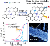 Graphical abstract: Single Cu–N4 sites enable atomic Fe clusters with high-performance oxygen reduction reactions