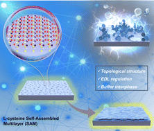 Graphical abstract: Self-assembled multilayers direct a buffer interphase for long-life aqueous zinc-ion batteries