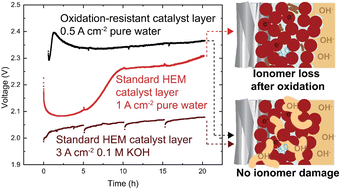 Graphical abstract: Oxidative instability of ionomers in hydroxide-exchange-membrane water electrolyzers