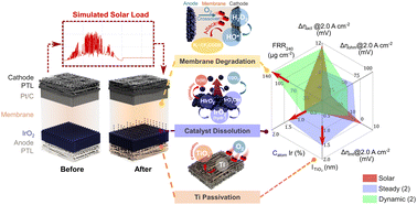 Graphical abstract: Systematic degradation analysis in renewable energy-powered proton exchange membrane water electrolysis
