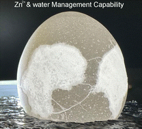Graphical abstract: Mimicking ion and water management in poultry breeding for highly reversible zinc ion batteries