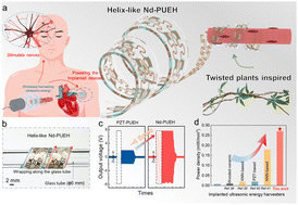 Graphical abstract: A wireless ultrasound energy harvester based on flexible relaxor ferroelectric crystal composite arrays for implanted bio-electronics