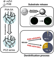 Graphical abstract: Groundwater denitrification enhanced by a hydrogel immobilized iron/solid carbon source: impact on denitrification and substrate release performance