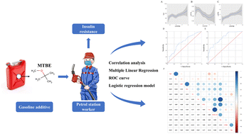 Graphical abstract: MTBE exposure may increase the risk of insulin resistance in male gas station workers